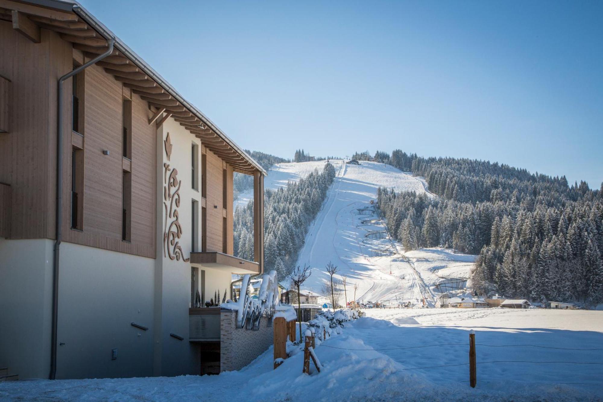 Enjoy The Alps * Flachau